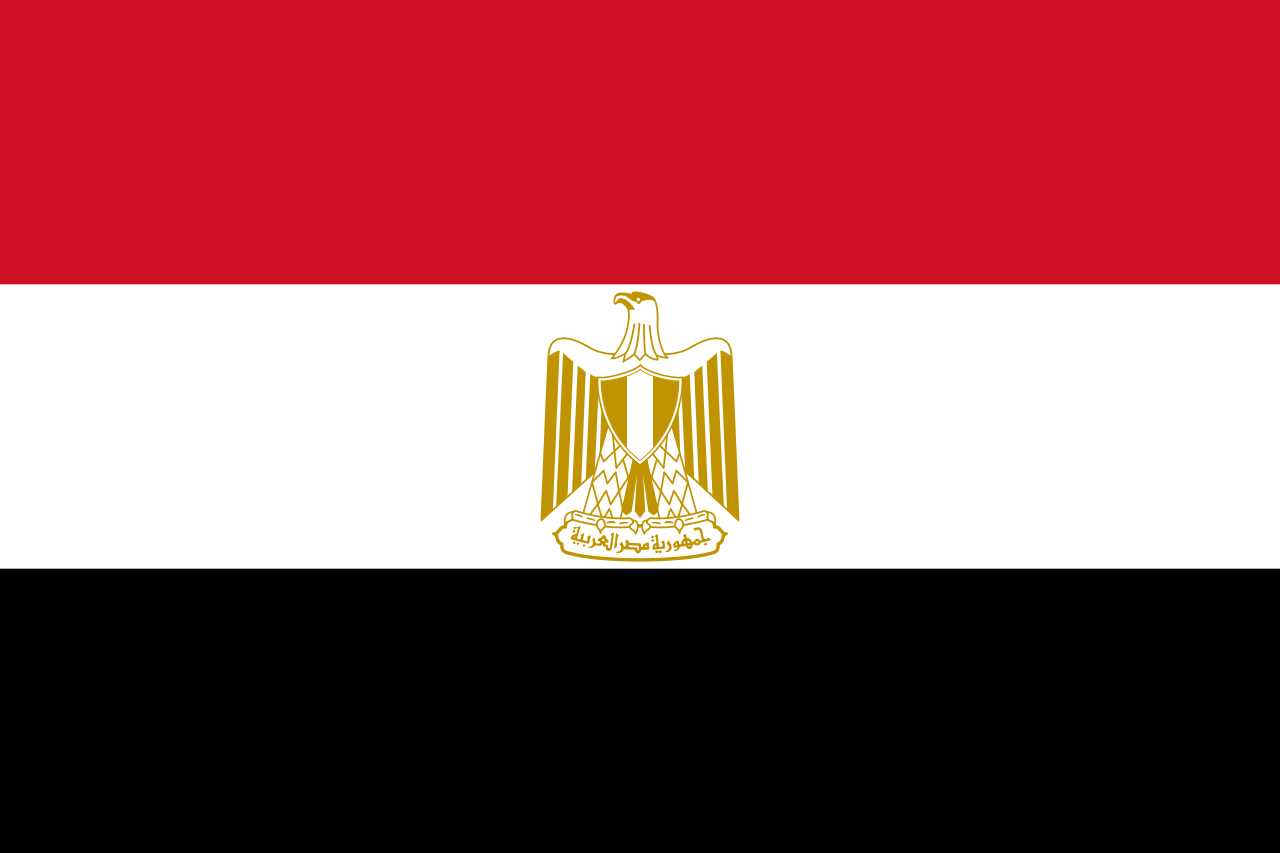 Egyption Government Visa and Immmigration Office 